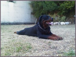 Beatrice 3 annii